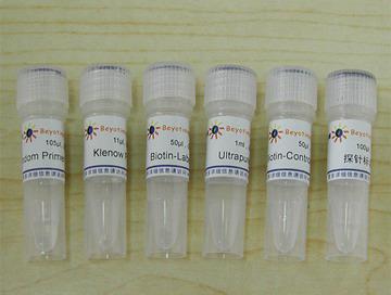 生物素随机引物DNA标记试剂盒,生物素随机引物DNA标记试剂盒