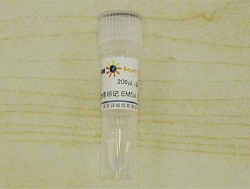 生物素标记EMSA探针－STAT5 (0.2μM),生物素标记EMSA探针－STAT5 (0.2μM)