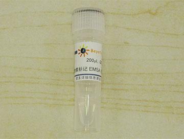 生物素標(biāo)記EMSA探針－STAT3 (0.2μM),生物素標(biāo)記EMSA探針－STAT3 (0.2μM)