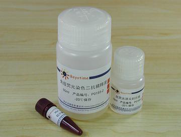 免疫荧光染色试剂盒-抗小鼠Cy3,免疫荧光染色试剂盒-抗小鼠Cy3
