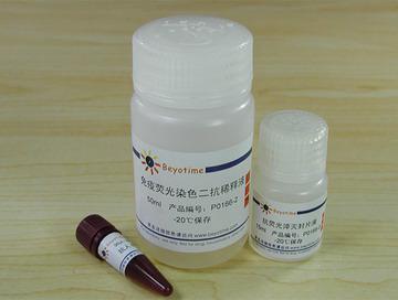 免疫荧光染色试剂盒-抗人FITC,免疫荧光染色试剂盒-抗人FITC