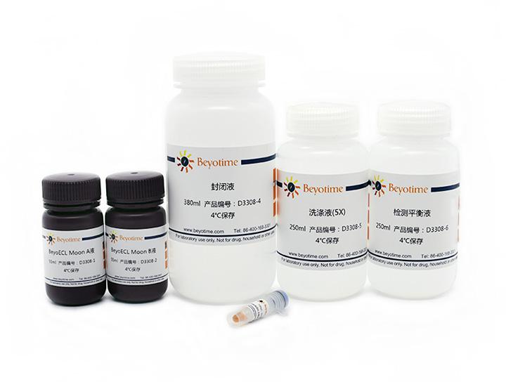 化学发光法生物素标记核酸检测试剂盒,化学发光法生物素标记核酸检测试剂盒