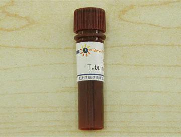 Tubulin-Tracker Red (微管红色荧光探针),Tubulin-Tracker Red (微管红色荧光探针)