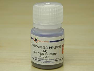 SDS-PAGE蛋白上样缓冲液(1X),SDS-PAGE蛋白上样缓冲液(1X)