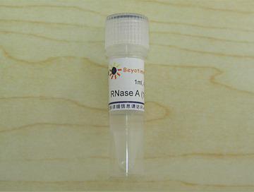 RNase A (10mg/ml),RNase A (10mg/ml)