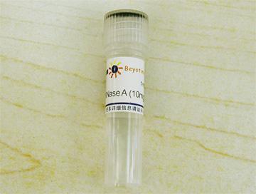 RNase A (10mg/ml, DNase free),RNase A (10mg/ml, DNase free)