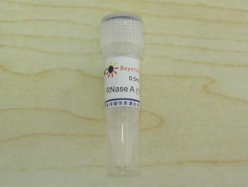 RNase A (100mg/ml),RNase A (100mg/ml)