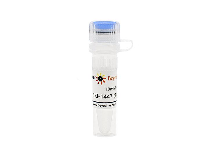 RKI-1447 (ROCK抑制剂),RKI-1447 (ROCK抑制剂)