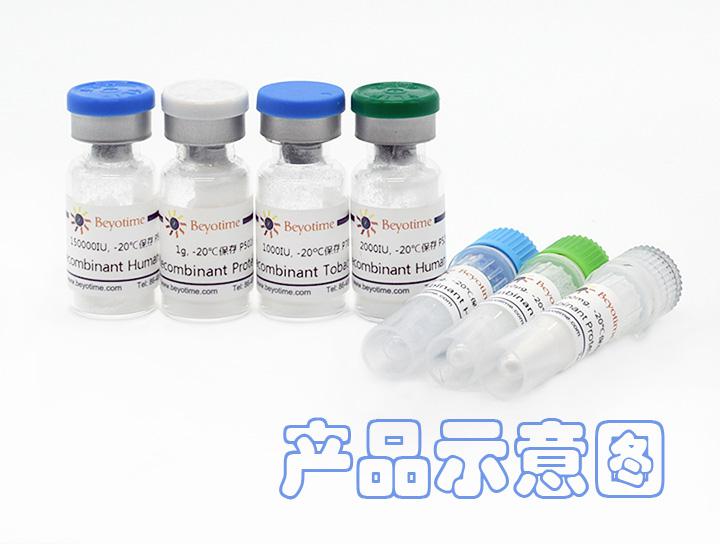 Recombinant Rat C10/CCL6,Recombinant Rat C10/CCL6