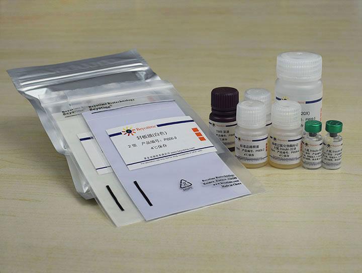 Rat Insulin ELISA Kit (Ultrasensitive),Rat Insulin ELISA Kit (Ultrasensitive)