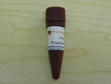 Propidium Iodide/碘化丙啶,Propidium Iodide/碘化丙啶