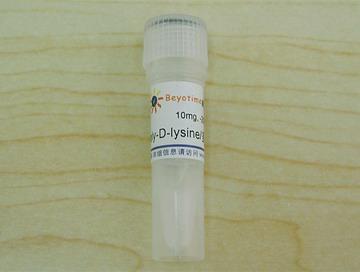 Poly-D-lysine/多聚赖氨酸,Poly-D-lysine/多聚赖氨酸