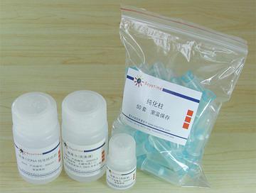 PCR纯化试剂盒/DNA纯化试剂盒,PCR纯化试剂盒/DNA纯化试剂盒