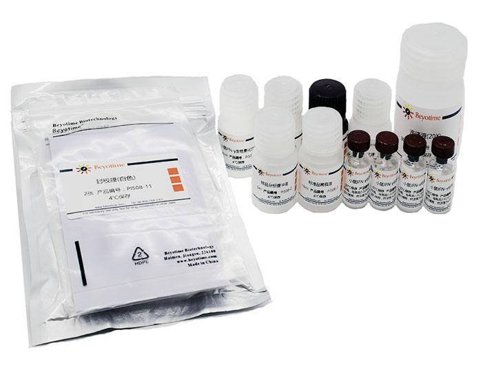 Mouse IFN-γ ELISA Kit,Mouse IFN-γ ELISA Kit