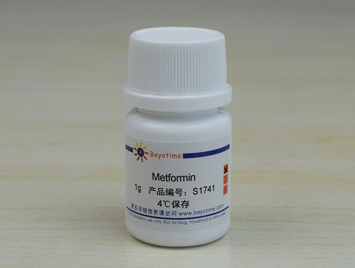 Metformin (LKB1-AMPK激活剂),Metformin (LKB1-AMPK激活剂)