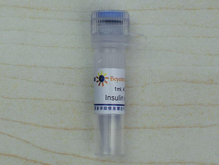 Insulin,Insulin