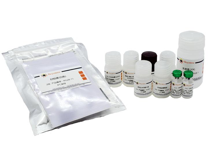 Human IL-10 ELISA Kit,Human IL-10 ELISA Kit