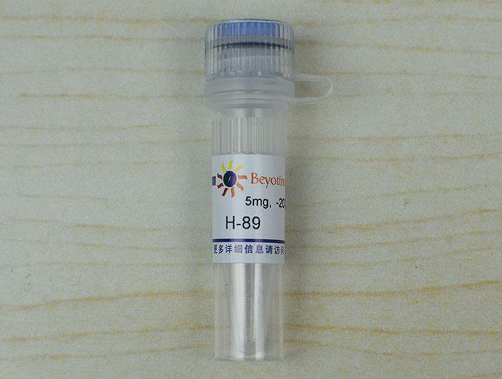 H-89 (PKA抑制剂),H-89 (PKA抑制剂)