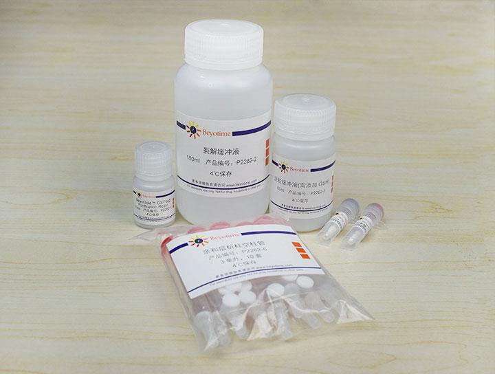 GST标签蛋白纯化试剂盒,GST标签蛋白纯化试剂盒