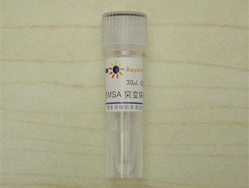 EMSA突變探針－AP1 (10μM),EMSA突變探針－AP1 (10μM)