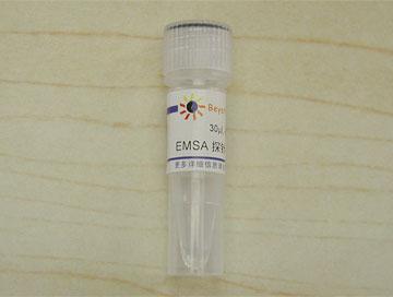 EMSA探針－β-Catenin/TCF (10μM),EMSA探針－β-Catenin/TCF (10μM)