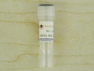 EMSA探针－NF-κB (10μM),EMSA探针－NF-κB (10μM)