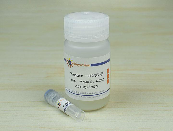 E-tag Mouse Monoclonal Antibody,E-tag Mouse Monoclonal Antibody