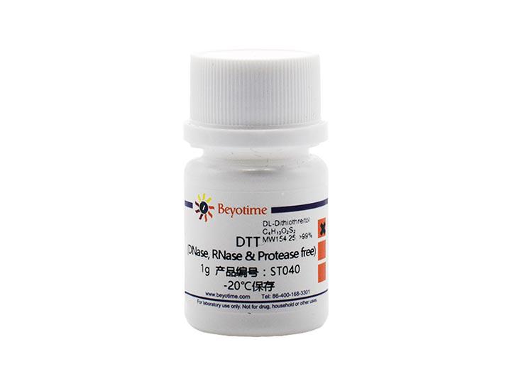 DTT (DNase, RNase & Protease free),DTT (DNase, RNase & Protease free)