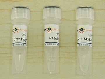 DNA末端平滑试剂盒,DNA末端平滑试剂盒