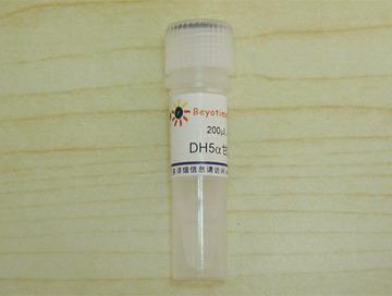 DH5α甘油菌,DH5α甘油菌