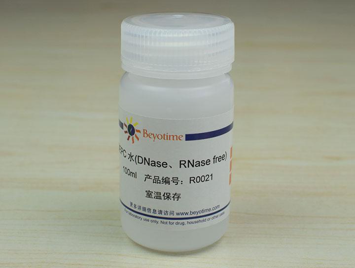 DEPC水(DNase、RNase free),DEPC水(DNase、RNase free)