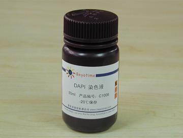 DAPI染色液,DAPI染色液