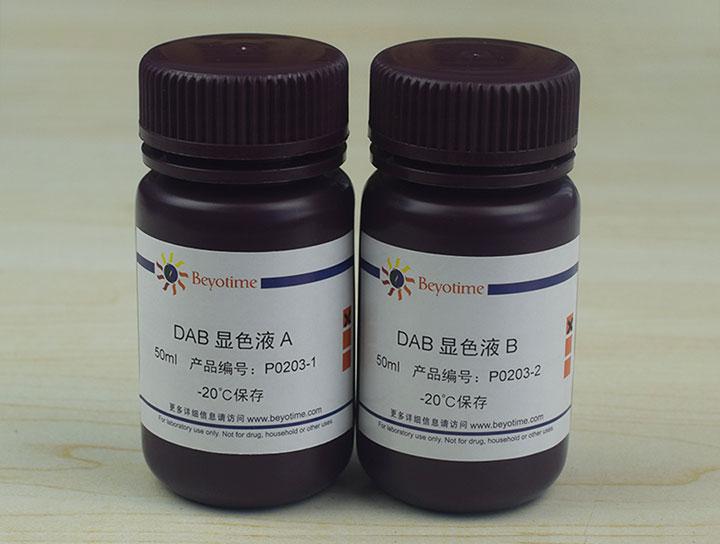 DAB辣根过氧化物酶显色试剂盒,DAB辣根过氧化物酶显色试剂盒