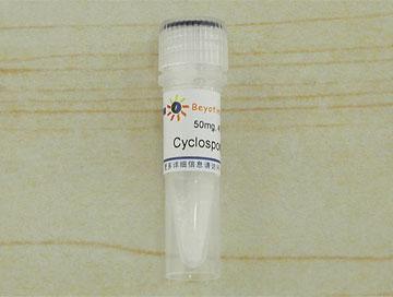 Cyclosporin A (免疫抑制剂/PP2B抑制剂),Cyclosporin A (免疫抑制剂/PP2B抑制剂)