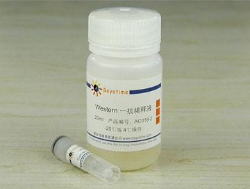 Calnexin抗体(小鼠单抗),Calnexin抗体(小鼠单抗)