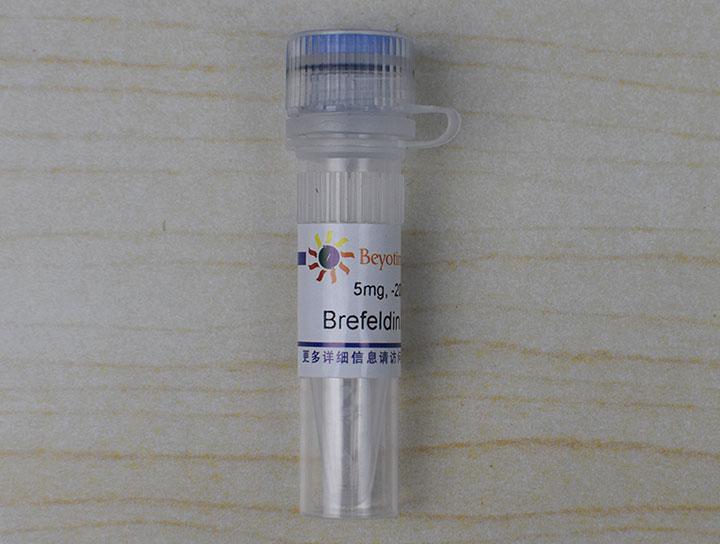 Brefeldin A (蛋白转运抑制剂),Brefeldin A (蛋白转运抑制剂)