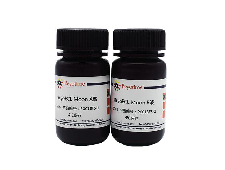 BeyoECL Moon (极超敏ECL化学发光试剂盒),BeyoECL Moon (极超敏ECL化学发光试剂盒)