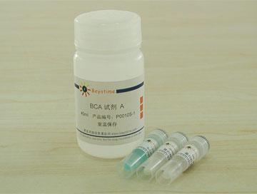 BCA蛋白浓度测定试剂盒(增强型),BCA蛋白浓度测定试剂盒(增强型)
