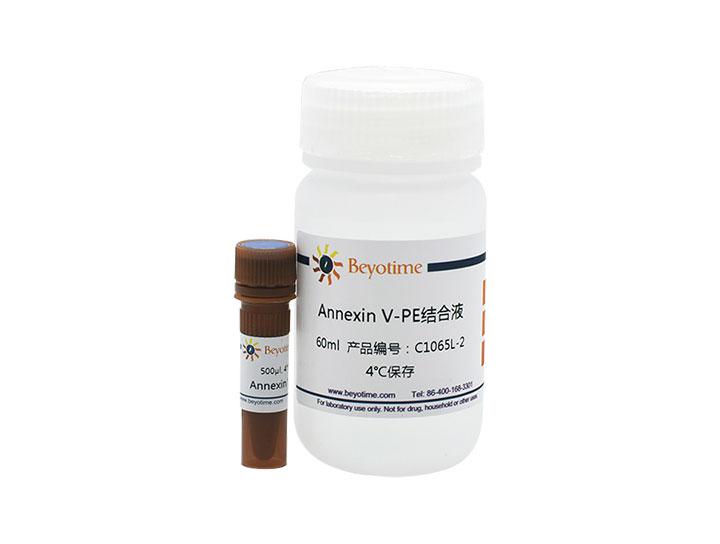 Annexin V-PE细胞凋亡检测试剂盒,Annexin V-PE细胞凋亡检测试剂盒