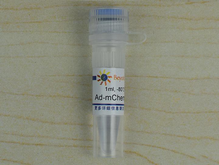 Ad-mCherry-GFP-LC3B,Ad-mCherry-GFP-LC3B