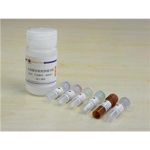 总谷胱甘肽检测试剂盒,总谷胱甘肽检测试剂盒