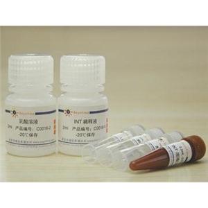 乳酸脱氢酶细胞毒性检测试剂盒