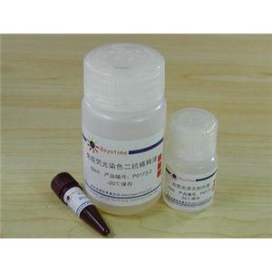 免疫荧光染色试剂盒-抗山羊Cy3