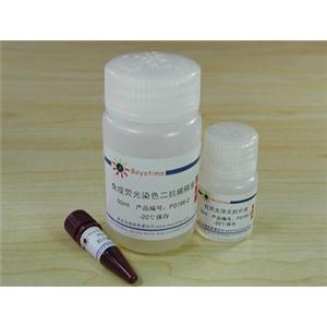免疫荧光染色试剂盒-抗小鼠FITC