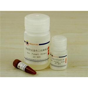 免疫荧光染色试剂盒-抗小鼠Alexa Fluor 488