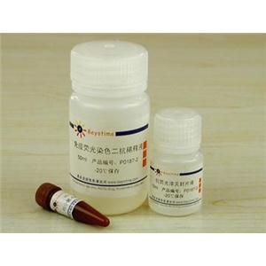 免疫荧光染色试剂盒-抗小鼠Alexa Fluor350,免疫荧光染色试剂盒-抗小鼠Alexa Fluor350