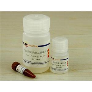 免疫荧光染色试剂盒-抗小鼠Alexa Fluor 647