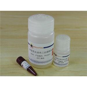 免疫荧光染色试剂盒-抗大鼠Cy3