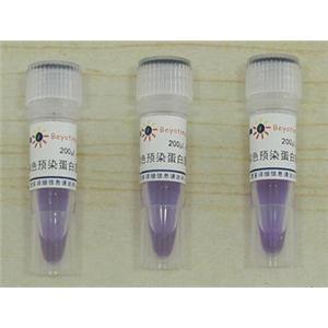 彩色预染蛋白质分子量标准(10-180kD),彩色预染蛋白质分子量标准(10-180kD)