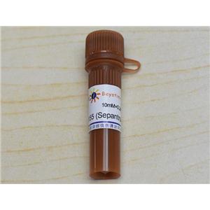 YM155 (Sepantronium Bromide) (Survivin抑制剂),YM155 (Sepantronium Bromide) (Survivin抑制剂)